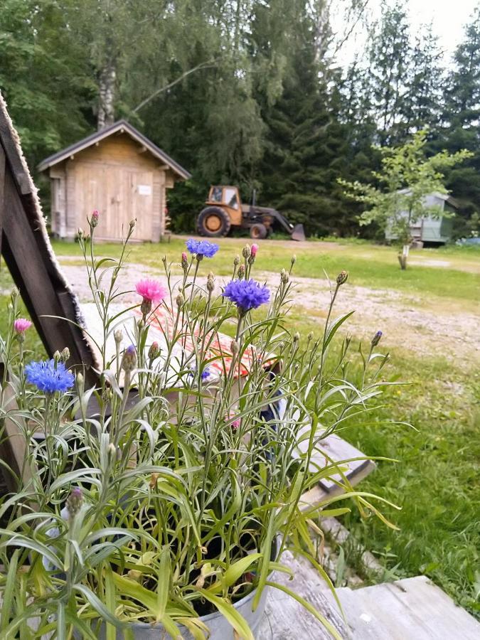 Kulttuurikartano Pekan Pirtit Haapavesi Екстериор снимка